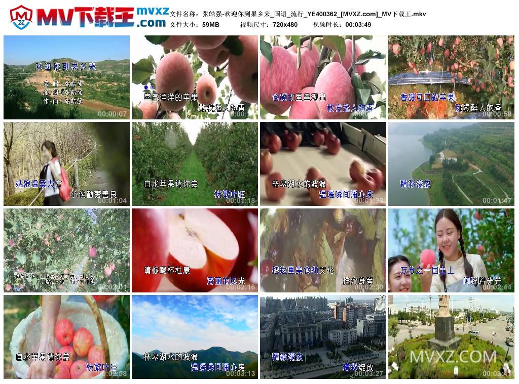 张皓强-欢迎你到果乡来_国语_流行_YE400362